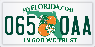 FL license plate 0650AA
