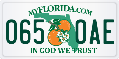 FL license plate 0650AE