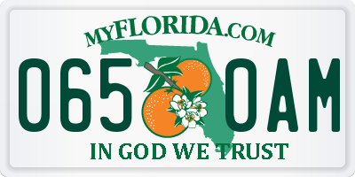 FL license plate 0650AM