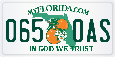 FL license plate 0650AS
