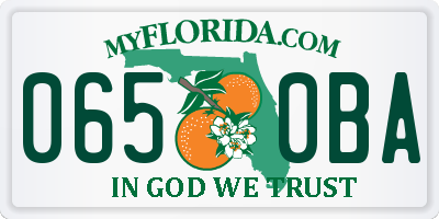 FL license plate 0650BA