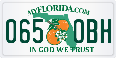 FL license plate 0650BH