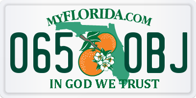 FL license plate 0650BJ