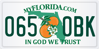 FL license plate 0650BK