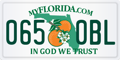 FL license plate 0650BL