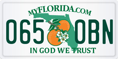 FL license plate 0650BN