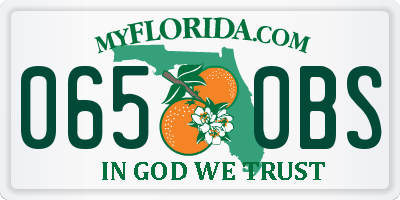 FL license plate 0650BS