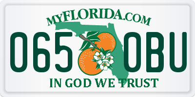 FL license plate 0650BU
