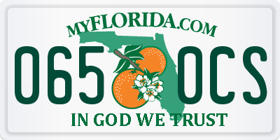 FL license plate 0650CS