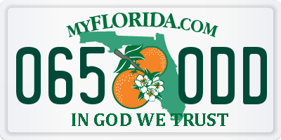 FL license plate 0650DD