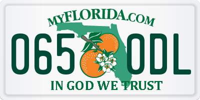 FL license plate 0650DL
