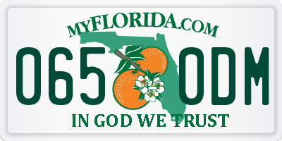 FL license plate 0650DM