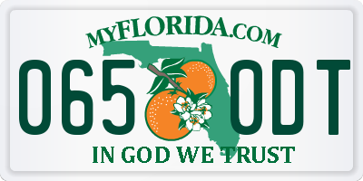 FL license plate 0650DT