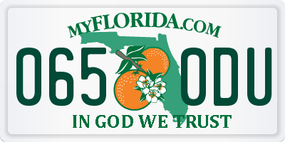 FL license plate 0650DU
