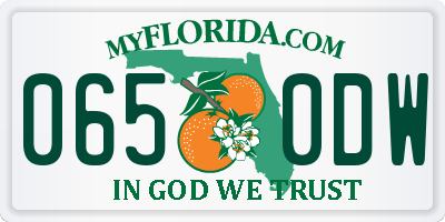 FL license plate 0650DW