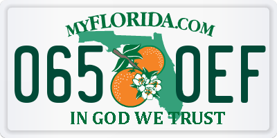 FL license plate 0650EF