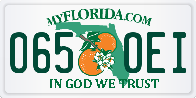 FL license plate 0650EI