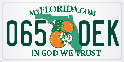 FL license plate 0650EK