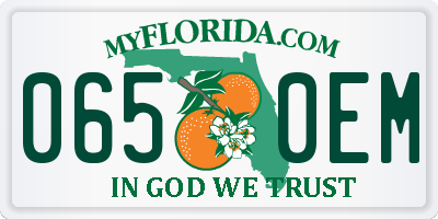 FL license plate 0650EM