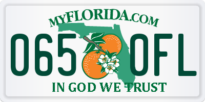 FL license plate 0650FL