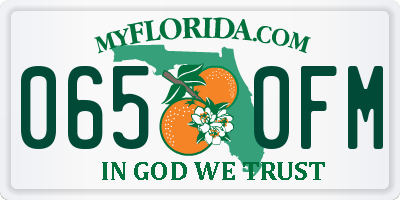 FL license plate 0650FM