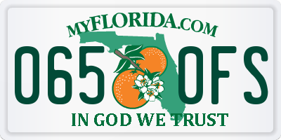 FL license plate 0650FS