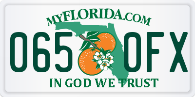 FL license plate 0650FX
