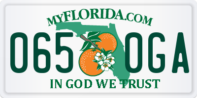 FL license plate 0650GA