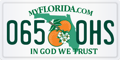 FL license plate 0650HS