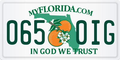FL license plate 0650IG