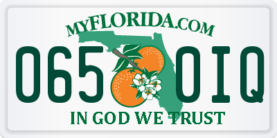 FL license plate 0650IQ