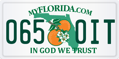 FL license plate 0650IT