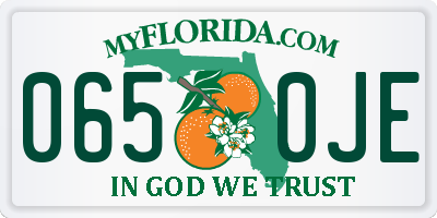 FL license plate 0650JE