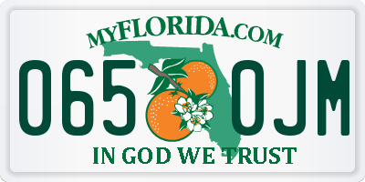 FL license plate 0650JM