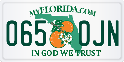 FL license plate 0650JN