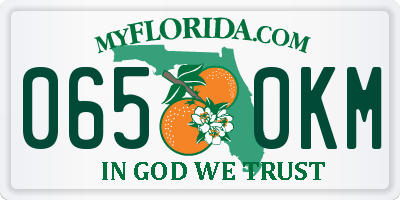 FL license plate 0650KM