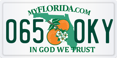 FL license plate 0650KY