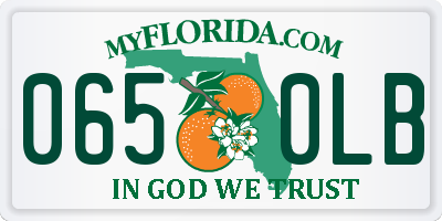 FL license plate 0650LB