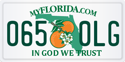 FL license plate 0650LG