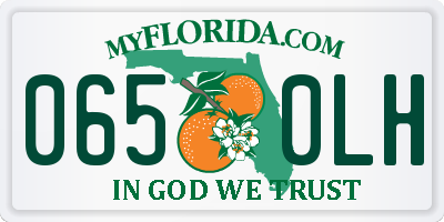 FL license plate 0650LH