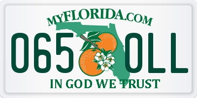 FL license plate 0650LL