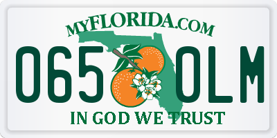 FL license plate 0650LM