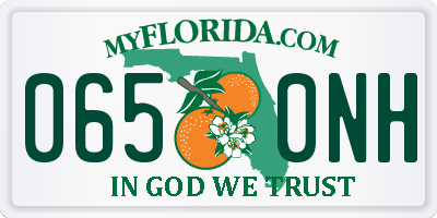 FL license plate 0650NH