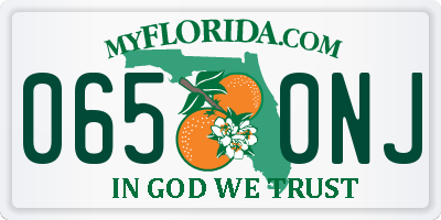 FL license plate 0650NJ
