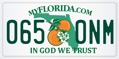 FL license plate 0650NM