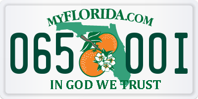 FL license plate 0650OI