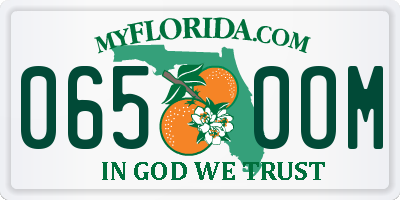 FL license plate 0650OM