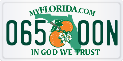 FL license plate 0650ON