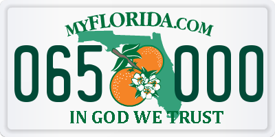 FL license plate 0650OO