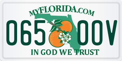 FL license plate 0650OV